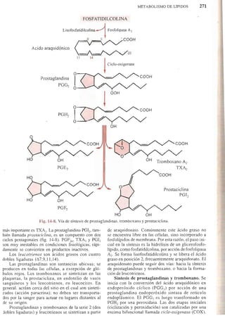Bioquimica -Antonio Blanco-