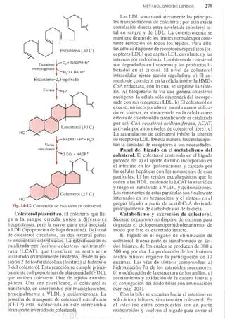 Bioquimica -Antonio Blanco-