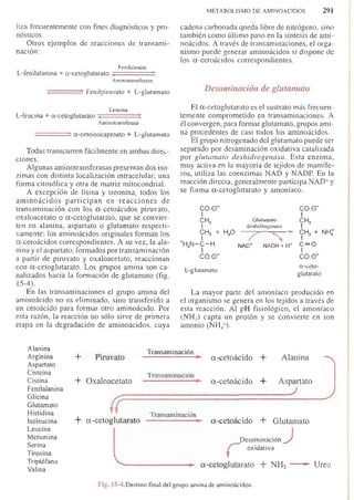 Bioquimica -Antonio Blanco-