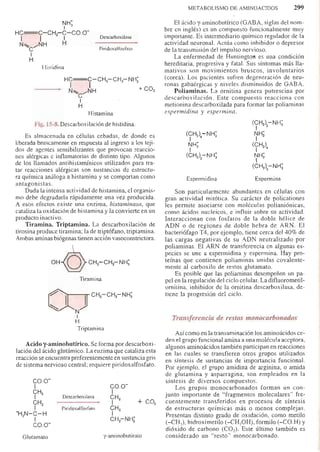 Bioquimica -Antonio Blanco-