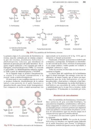 Bioquimica -Antonio Blanco-