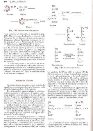 Bioquimica -Antonio Blanco-