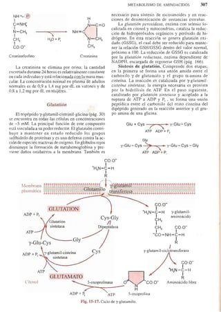 Bioquimica -Antonio Blanco-