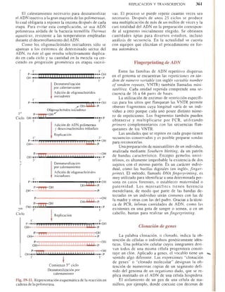 Bioquimica -Antonio Blanco-