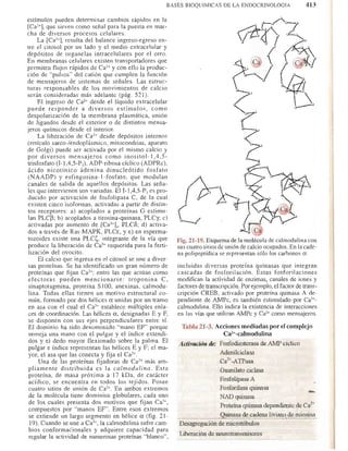 Bioquimica -Antonio Blanco-