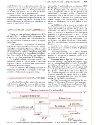 Bioquimica -Antonio Blanco-