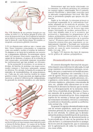 Bioquimica -Antonio Blanco-
