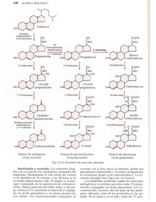 Bioquimica -Antonio Blanco-