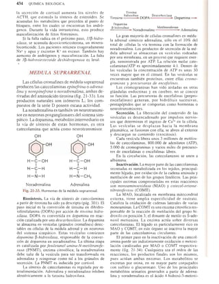 Bioquimica -Antonio Blanco-