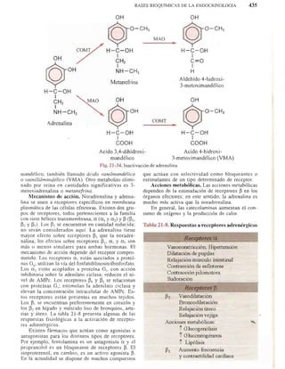 Bioquimica -Antonio Blanco-