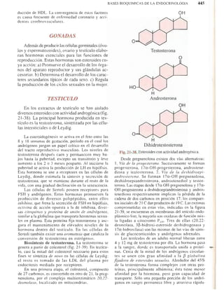 Bioquimica -Antonio Blanco-