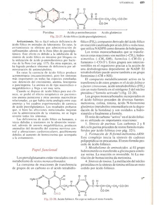 Bioquimica -Antonio Blanco-