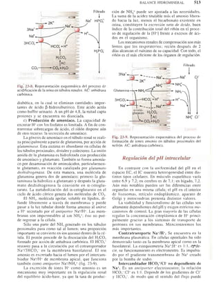 Bioquimica -Antonio Blanco-