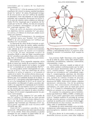 Bioquimica -Antonio Blanco-