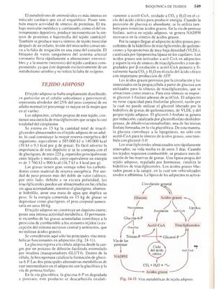 Bioquimica -Antonio Blanco-
