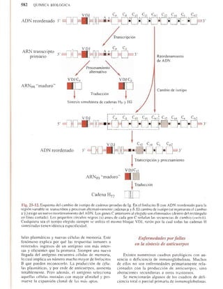 Bioquimica -Antonio Blanco-