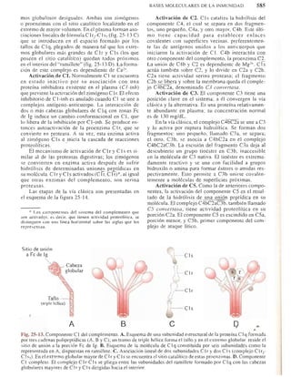Bioquimica -Antonio Blanco-