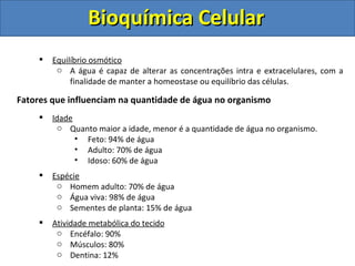 Bioquímica Celular   Equilíbrio osmótico A água é capaz de alterar as concentrações intra e extracelulares, com a finalidade de manter a homeostase ou equilíbrio das células. Fatores que influenciam na quantidade de água no organismo Idade Quanto maior a idade, menor é a quantidade de água no organismo. Feto: 94% de água Adulto: 70% de água Idoso: 60% de água Espécie Homem adulto: 70% de água Água viva: 98% de água Sementes de planta: 15% de água Atividade metabólica do tecido Encéfalo: 90% Músculos: 80% Dentina: 12% 