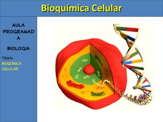 Aula Programada Biologia Tema: Bioquímica Celular ,[object Object]