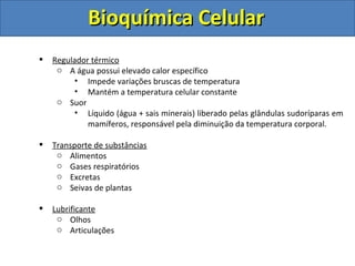 Bioquímica Celular   Regulador térmico A água possui elevado calor específico  Impede variações bruscas de temperatura Mantém a temperatura celular constante Suor Líquido (água + sais minerais) liberado pelas glândulas sudoríparas em mamíferos, responsável pela diminuição da temperatura corporal. Transporte de substâncias Alimentos Gases respiratórios Excretas Seivas de plantas Lubrificante Olhos Articulações 