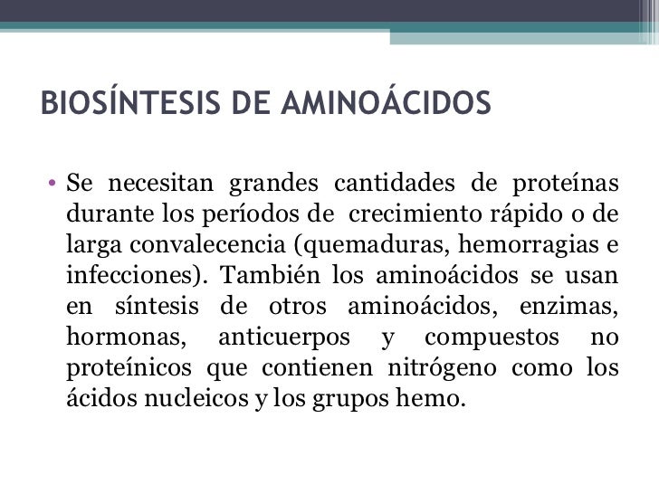 Aminoacidos sirven para adelgazar