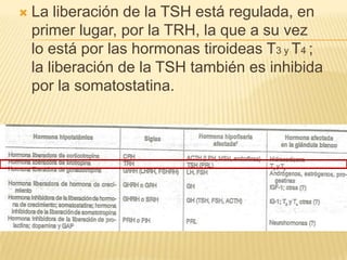  La liberación de la TSH está regulada, en
primer lugar, por la TRH, la que a su vez
lo está por las hormonas tiroideas T3 y T4 ;
la liberación de la TSH también es inhibida
por la somatostatina.
 