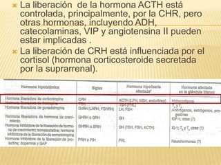  La liberación de la hormona ACTH está
controlada, principalmente, por la CHR, pero
otras hormonas, incluyendo ADH,
catecolaminas, VIP y angiotensina II pueden
estar implicadas .
 La liberación de CRH está influenciada por el
cortisol (hormona corticosteroide secretada
por la suprarrenal).
 