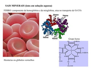 SAIS MINERAIS (íons em solução aquosa)  FERRO: componente da hemoglobina e da mioglobina, atua no transporte de O 2 /CO 2 Grupo heme Hemácias ou glóbulos vermelhos 