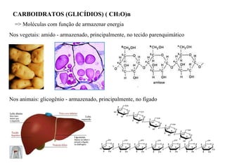 CARBOIDRATOS (GLICÍDIOS) ( CH 2 O)n Nos vegetais: amido - armazenado, principalmente, no tecido parenquimático => Moléculas com função de armazenar energia Nos animais: glicogênio - armazenado, principalmente, no fígado 