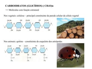 CARBOIDRATOS (GLICÍDIOS) ( CH 2 O)n => Moléculas com função estrutural Nos vegetais: celulose – principal constituinte da parede celular da célula vegetal Nos animais: quitina – constituinte do esqueleto dos artrópodes 