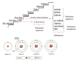 C H O N P S Elementos químicos Substâncias Nutrientes orgânicos Nutrientes inorgânicos 