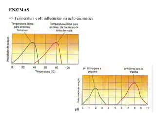 ENZIMAS  => Temperatura e pH influenciam na ação enzimática 