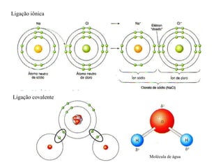 Ligação iônica Ligação covalente Molécula de água 
