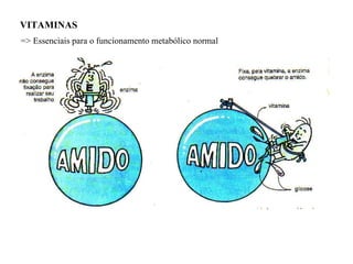 VITAMINAS  => Essenciais para o funcionamento metabólico normal 