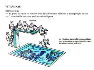VITAMINAS  Hidrossolúveis => do grupo B: atuam no metabolismo de carboidratos e lipídios e na respiração celular => C: é antioxidante e atua na síntese de colágeno 