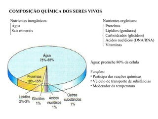 COMPOSIÇÃO QUÍMICA DOS SERES VIVOS Nutrientes inorgânicos: Nutrientes orgânicos: Água Sais minerais Proteínas Lipídios (gorduras) Carboidrados (glicídios) Ácidos nucléicos (DNA/RNA) Vitaminas Água: preenche 80% da célula Funções: Participa das reações químicas Veículo de transporte de substâncias Moderador da temperatura 