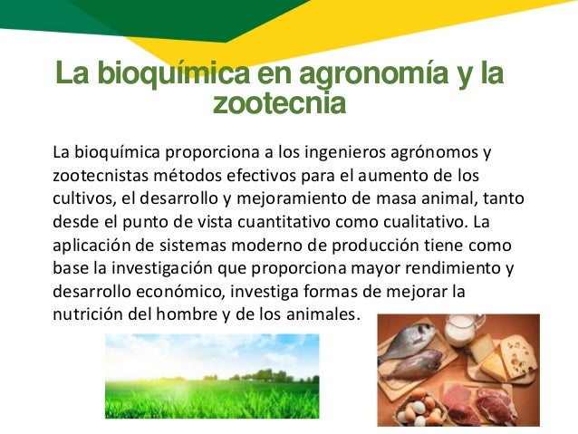 Bioquimica 001
