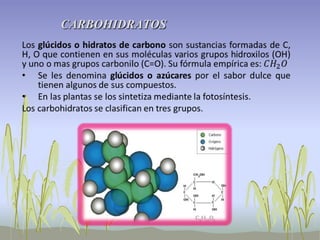 CARBOHIDRATOS
 