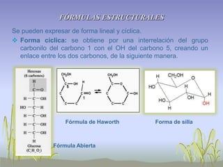 FÓRMULAS ESTRUCTURALES
Se pueden expresar de forma lineal y cíclica.
 Forma cíclica: se obtiene por una interrelación del grupo
  carbonilo del carbono 1 con el OH del carbono 5, creando un
  enlace entre los dos carbonos, de la siguiente manera.




                Fórmula de Haworth          Forma de silla



            Fórmula Abierta
 