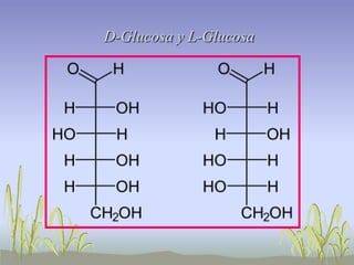 D-Glucosa y L-Glucosa
 