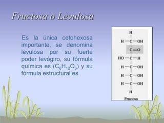 Fructosa o Levulosa

  Es la única cetohexosa
  importante, se denomina
  levulosa por su fuerte
  poder levógiro, su fórmula
  química es (C6H12O6) y su
  fórmula estructural es
 