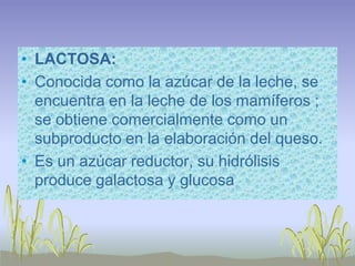 • LACTOSA:
• Conocida como la azúcar de la leche, se
  encuentra en la leche de los mamíferos ;
  se obtiene comercialmente como un
  subproducto en la elaboración del queso.
• Es un azúcar reductor, su hidrólisis
  produce galactosa y glucosa
 