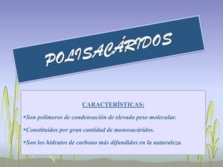 CARACTERÍSTICAS:

Son polímeros de condensación de elevado peso molecular.

Constituidos por gran cantidad de monosacáridos.

Son los hidratos de carbono más difundidos en la naturaleza.
 