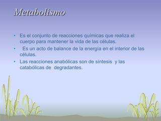 Metabolismo

• Es el conjunto de reacciones químicas que realiza el
  cuerpo para mantener la vida de las células.
• Es un acto de balance de la energía en el interior de las
  células.
• Las reacciones anabólicas son de síntesis y las
  catabólicas de degradantes.
 
