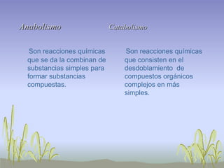 Anabolismo                   Catabolismo


   Son reacciones químicas       Son reacciones químicas
  que se da la combinan de       que consisten en el
  substancias simples para       desdoblamiento de
  formar substancias             compuestos orgánicos
  compuestas.                    complejos en más
                                 simples.
 