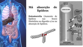 Má absorção de 
lipídeos 
Esteatorréia (Aumento de 
lipídeos nas fezes) 
Distúrbios na digestão e/ou na 
absorção de lipídeos. 
 