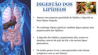 • Apenas uma pequena quantidade de lipídios é digerida na 
boca (lipase lingual); 
• No estômago (lipase gástrica), também digere apenas uma 
pequena parte dos lipídeos; 
• A digestão dos lipídios, propriamente dita, ocorre no 
duodeno, através da ação da bile e da enzima lipase 
pancreática; 
• Os ácidos graxos livres e monoglicerídios irão formar 
complexos com os sais biliares. 
 