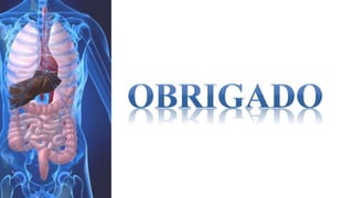 Digestão das proteínas e lipidios