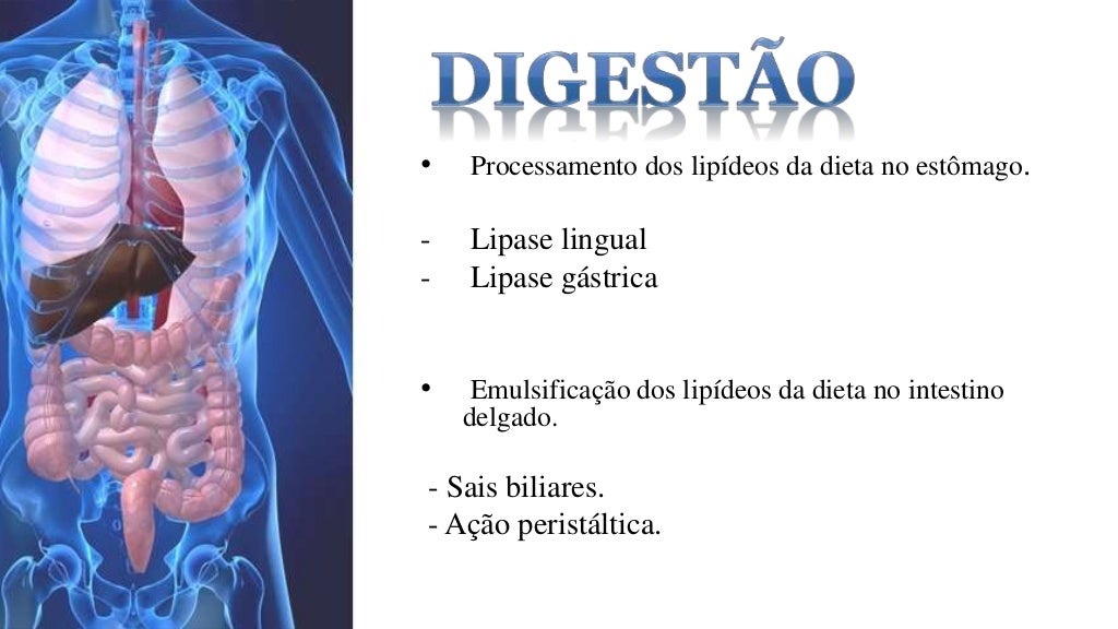 Como Se Chama As Substâncias Formadas Na Digestão Das Proteínas