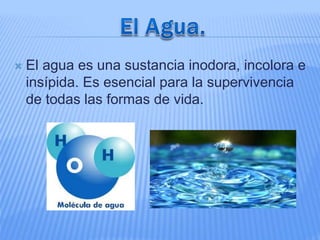  El agua es una sustancia inodora, incolora e
insípida. Es esencial para la supervivencia
de todas las formas de vida.
 